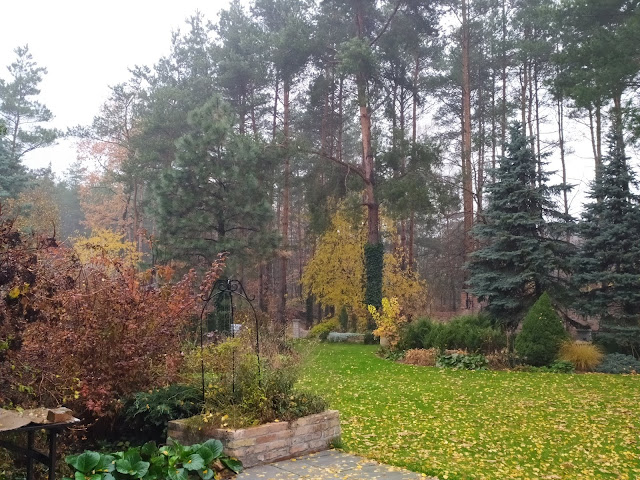 Jesienny ogród, rośliny przebarwiające się jesienią