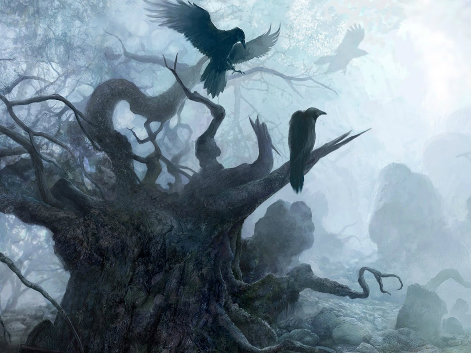 Surreal Wallpapers Surreal Wallpapers