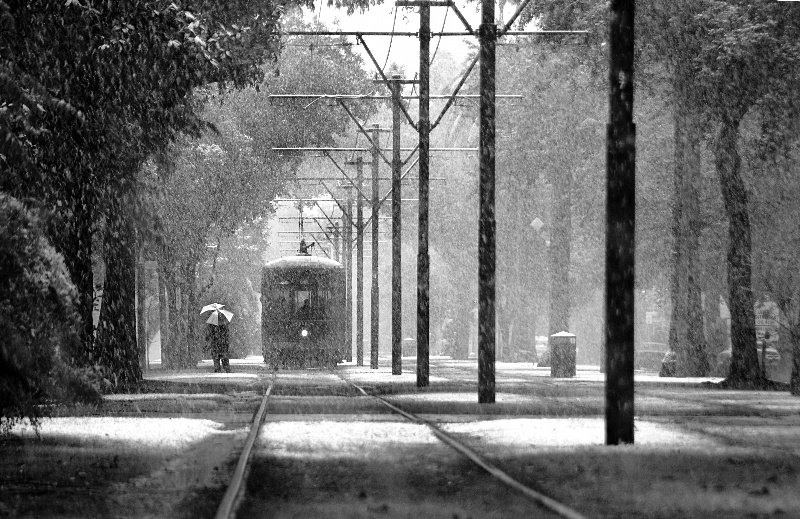 Encyclopedia of Trivia: New Orleans