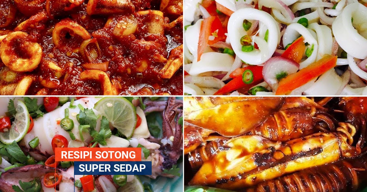 Sedap sotong masak apa 15 Resepi