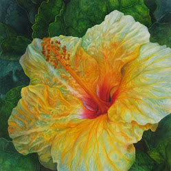 hibiscus yellow watercolor karen sioson flores watercolors paintings gumamela painting pinturas arte flowers pintadas flower liveinternet twilight february paint fr
