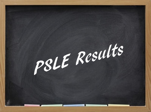 No more naming of Top Student in PSLE : A boon or a bane?