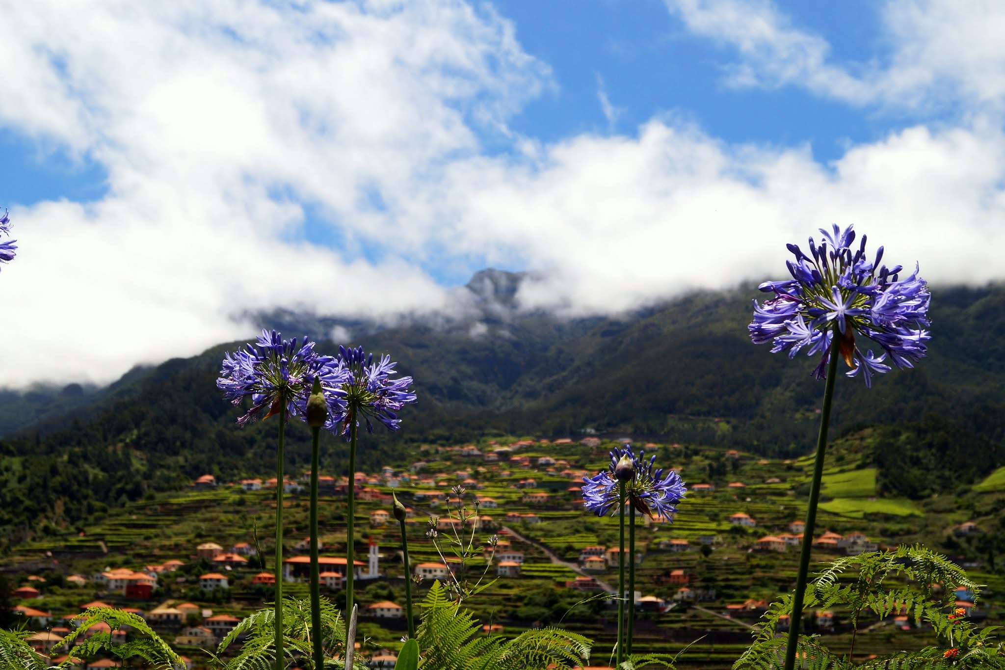 Sao Vicente,Madera, Madeira,blog podróżniczy,podróże,Judy's World, blogerka podróżnicza,Portugalia,kraina wiecznej wiosny,zielony ogród na atlantyku,