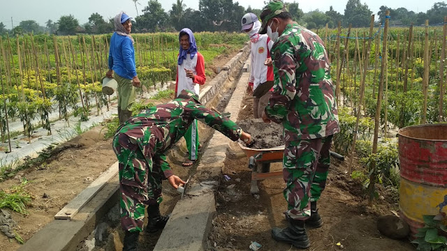 Babinsa Dan Perangkat Desa Melaksanakan Pengecekan Pembangunan Saluran Irigasi Persawahan