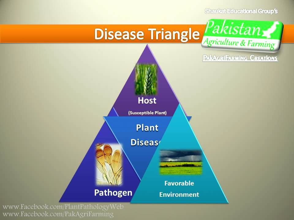 Disease Triangle and Concept of Plant Disease
