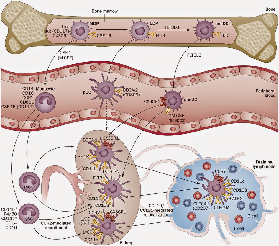 10/09/14 ~ Biochemistry and Molecular Biology