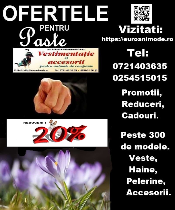 Oferte pentru PASTE !