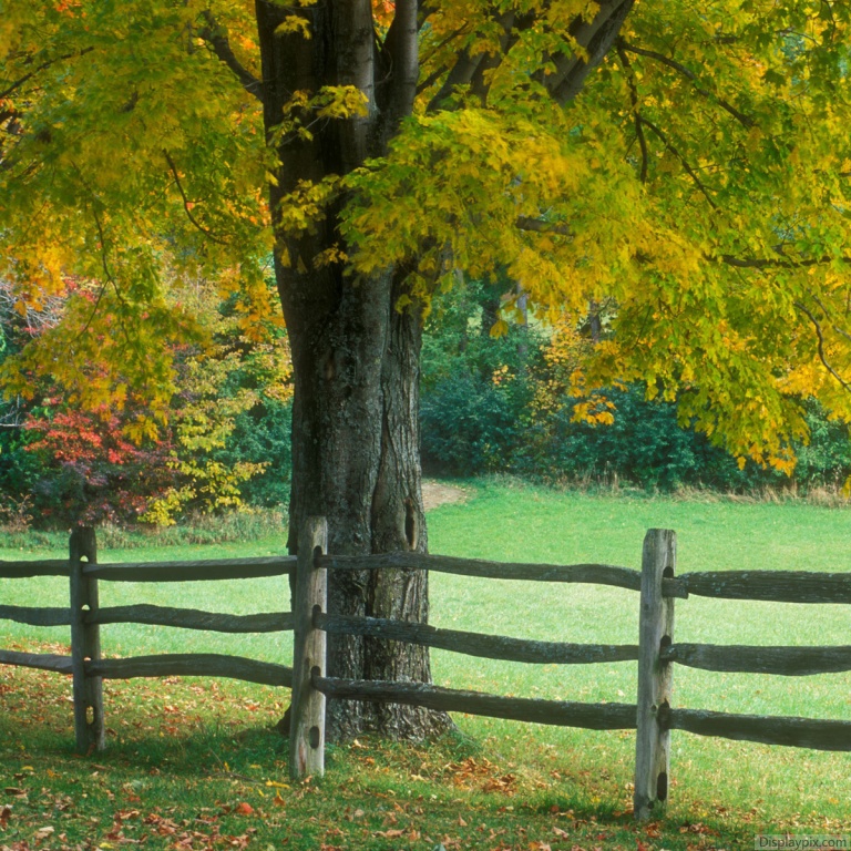 Beautiful Nature Profile Pictures Top Profile Pictures Display Pictures