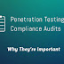 Why you need to know about Penetration Testing and Compliance Audits?