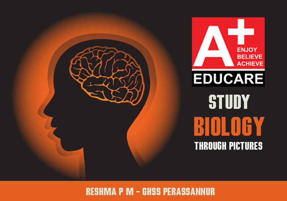 Aplus Blog SSLCSTUDY BIOLOGY THROUGH TEST