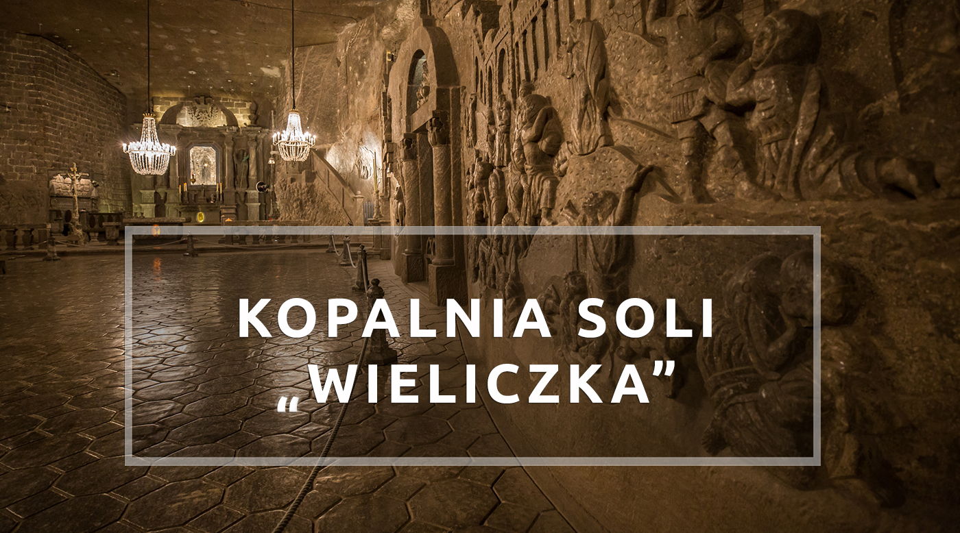 Pod Wpływem Soli Metali Lekkich Zachodzi Biblioteka pod kotem: Międzynarodowy Dzień Muzeów