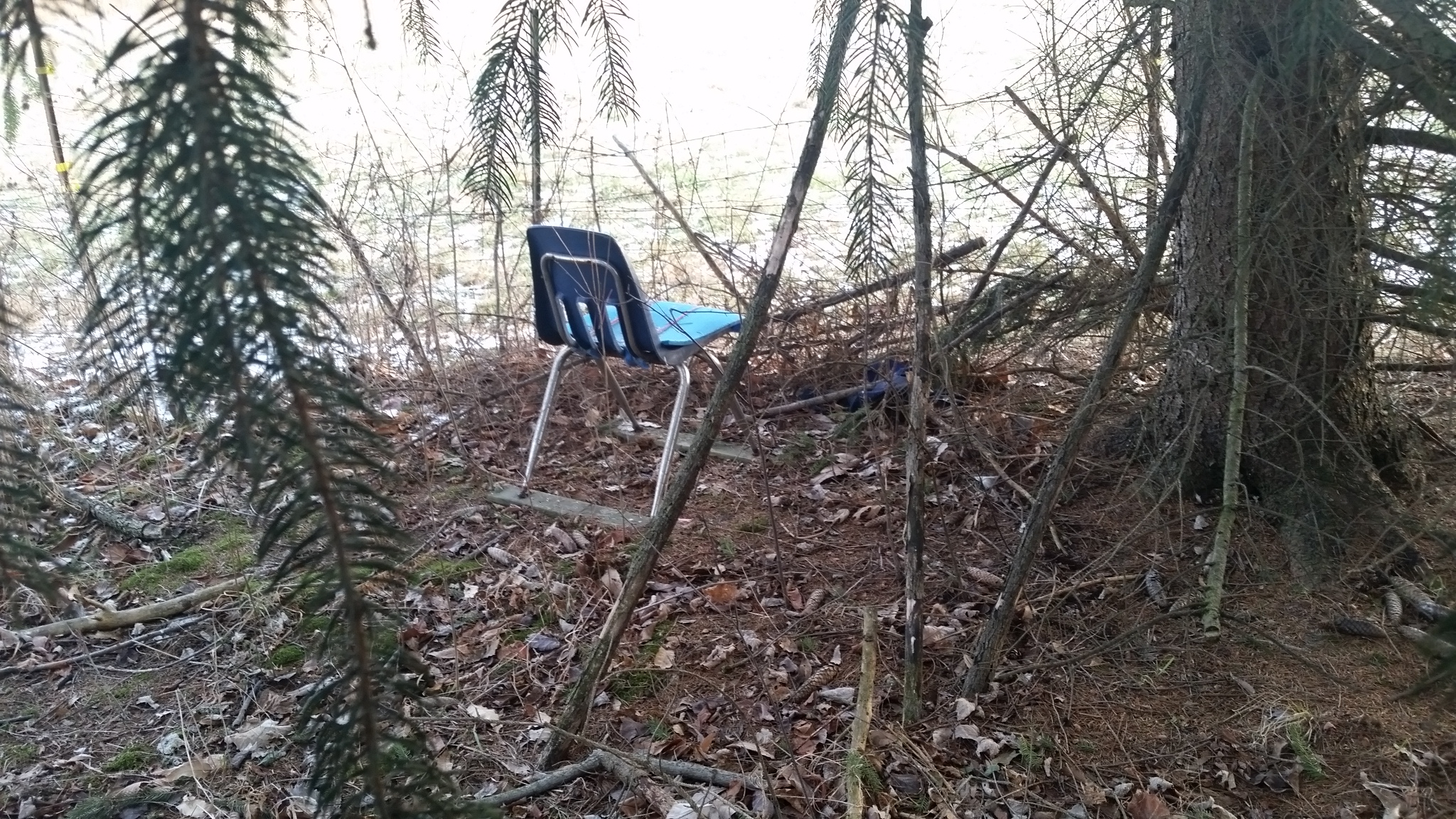 Eaton Rapids Joe An evening on the deer stand