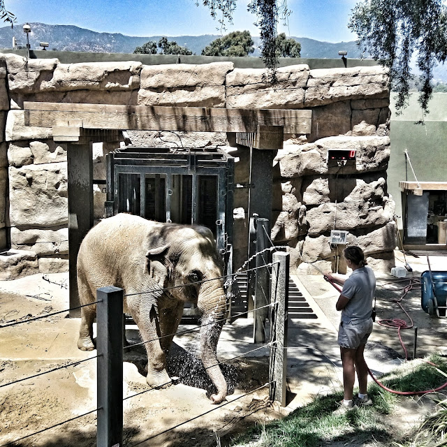 SB Zoo SB Zoo