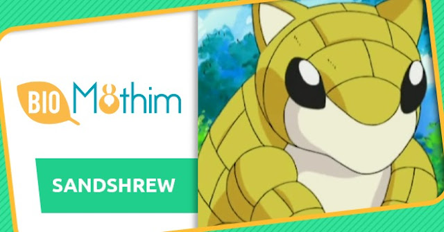 Desenhos de Pokemon Sandshrew - Como desenhar Pokemon Sandshrew