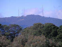 A view of the Dandenong Ranges