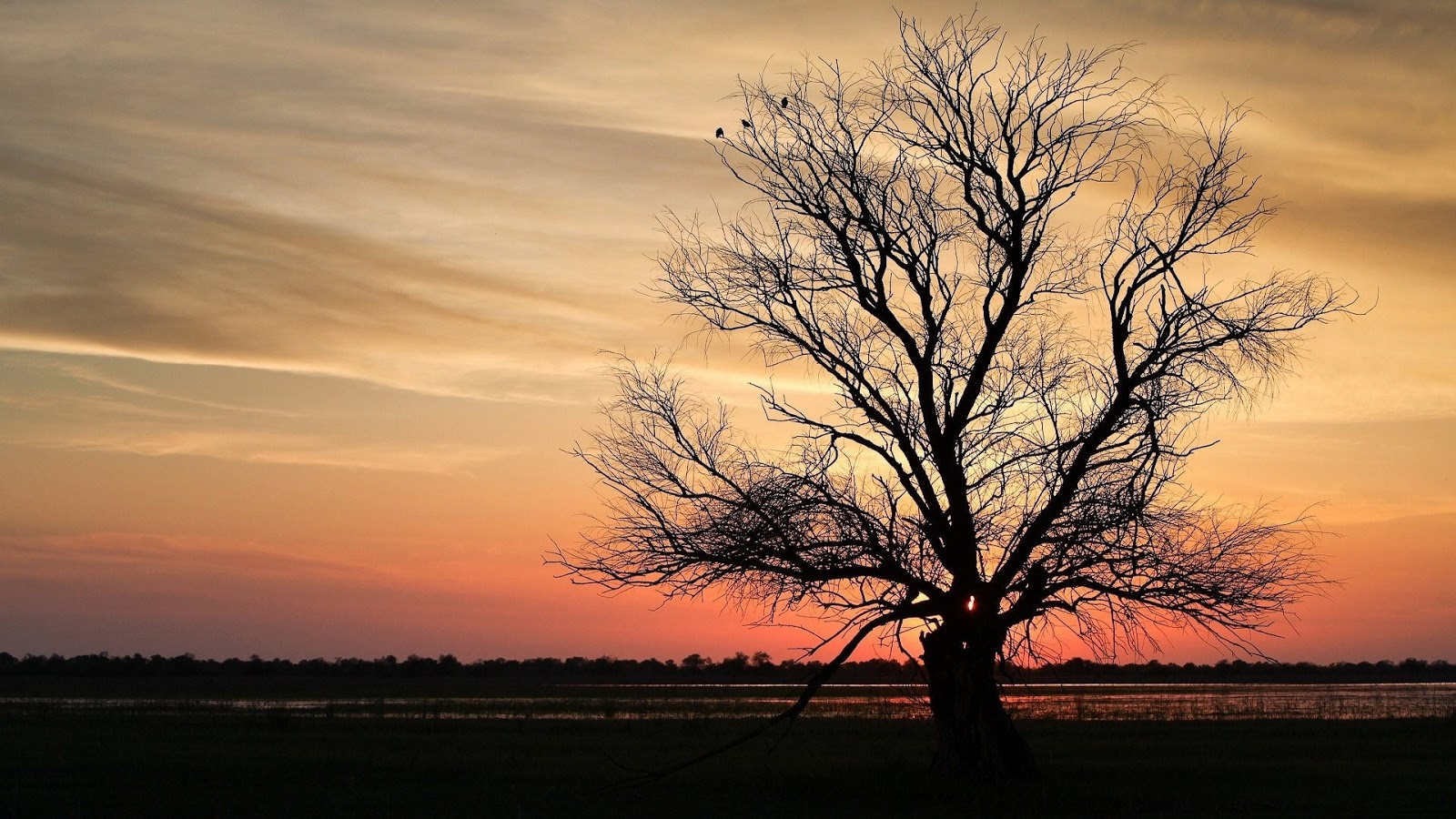 guzel manzarali hd resimler19