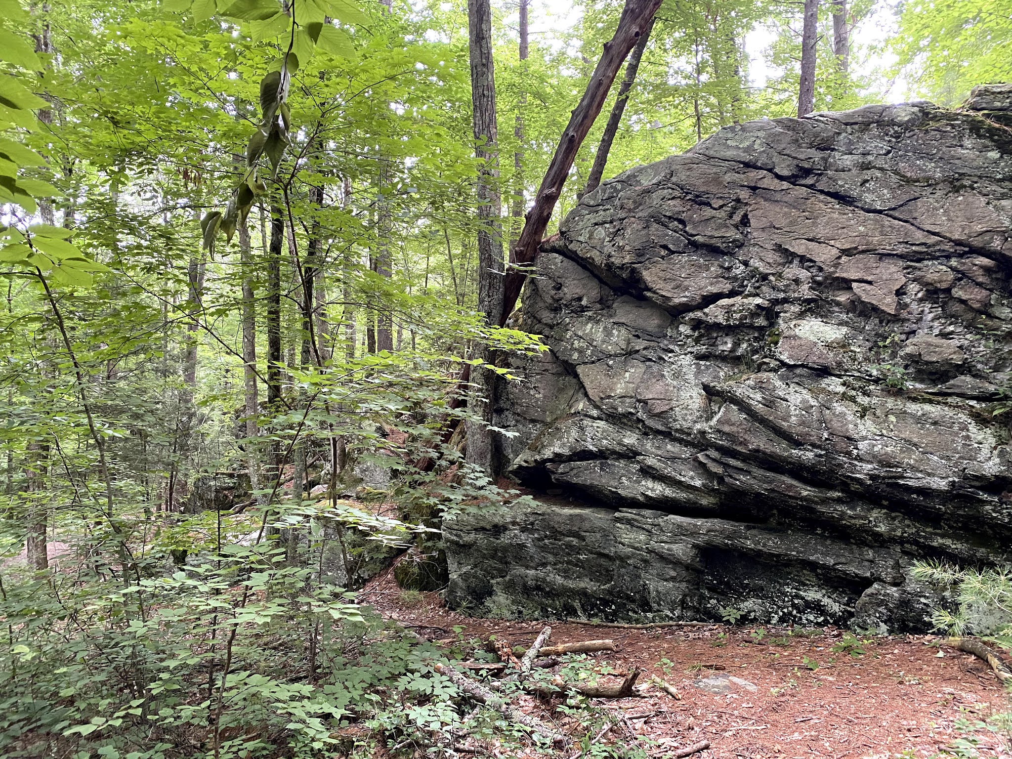 The Land in Trust Steere Hill