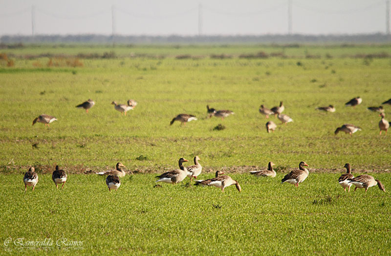 Naturaleza y fotografía
