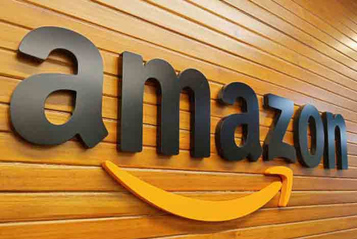 Hyderabad, News, National, High Court, Complaint, Court Order, Telangana HC orders probe into dismissal of Amazon employee