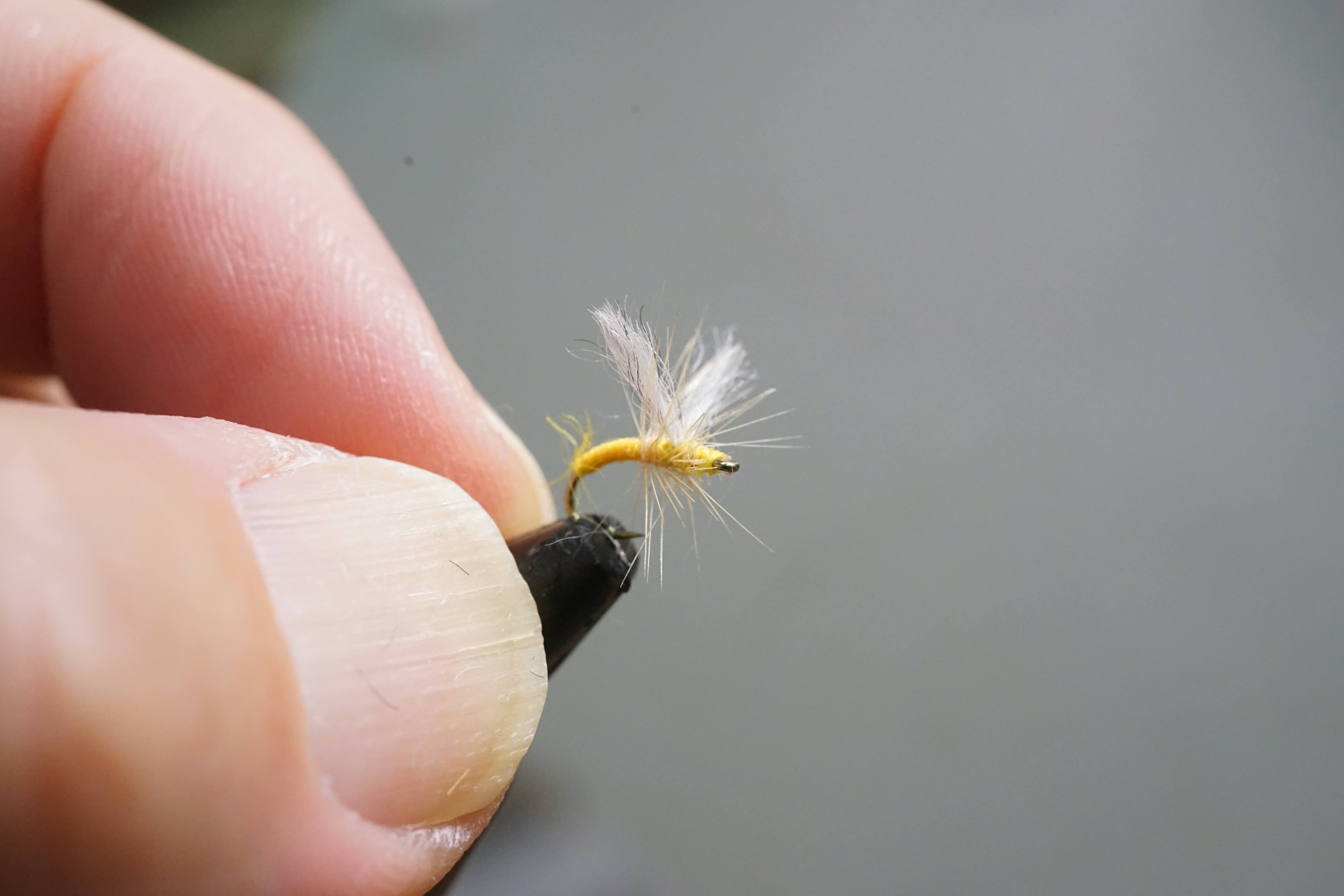 ホワイティング コック ハックル ②フライタイイング フライマテリアル フライ ホワイティング コック ハックル ②フライタイイング フライ