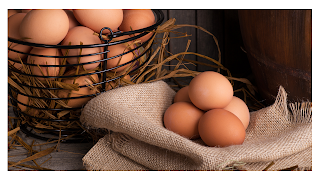 telur salah satu makanan penunjang kesehatan sistem saraf