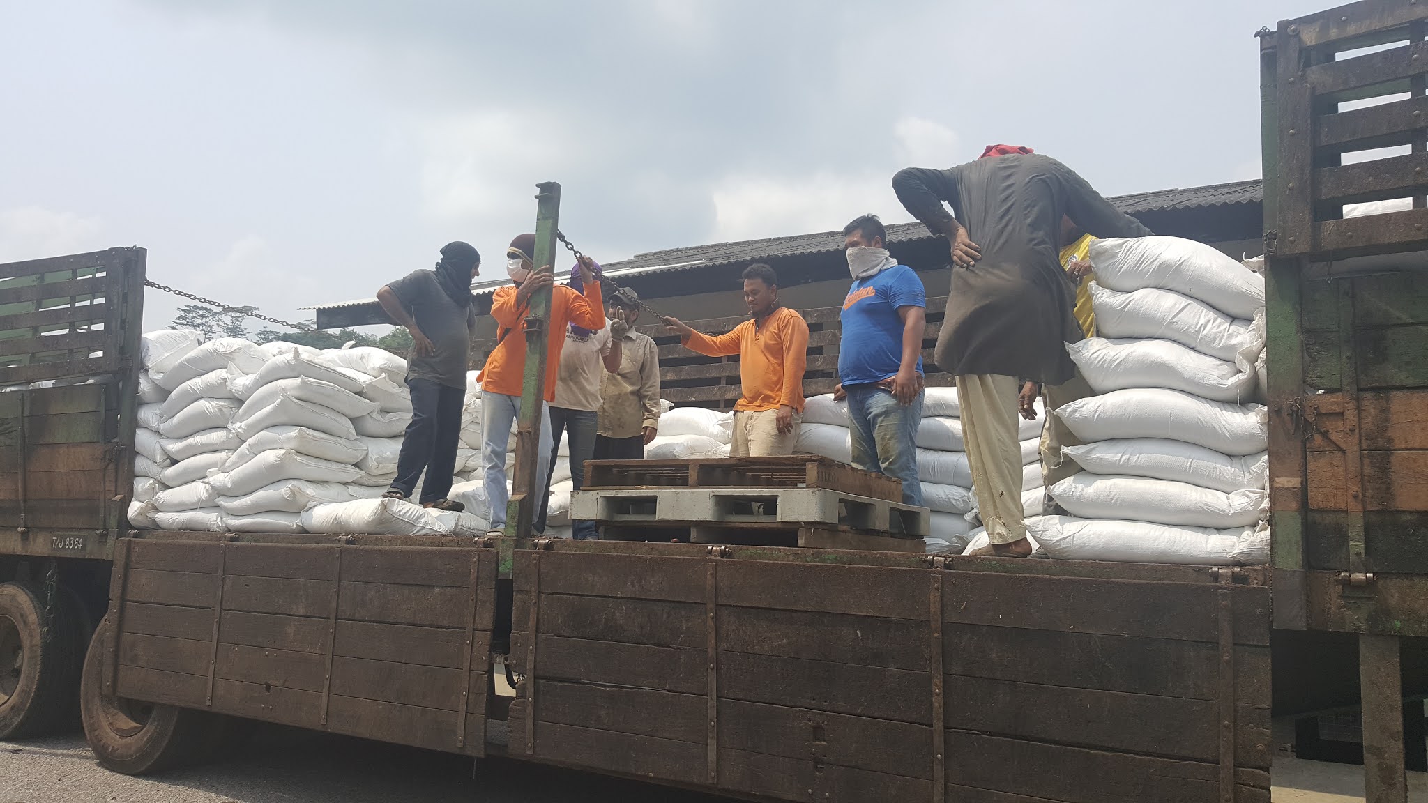 BAJA ORGANIK MAS HITAM (E.M) BOKASHI SARJANI (M) SDN. BHD./SARJANI