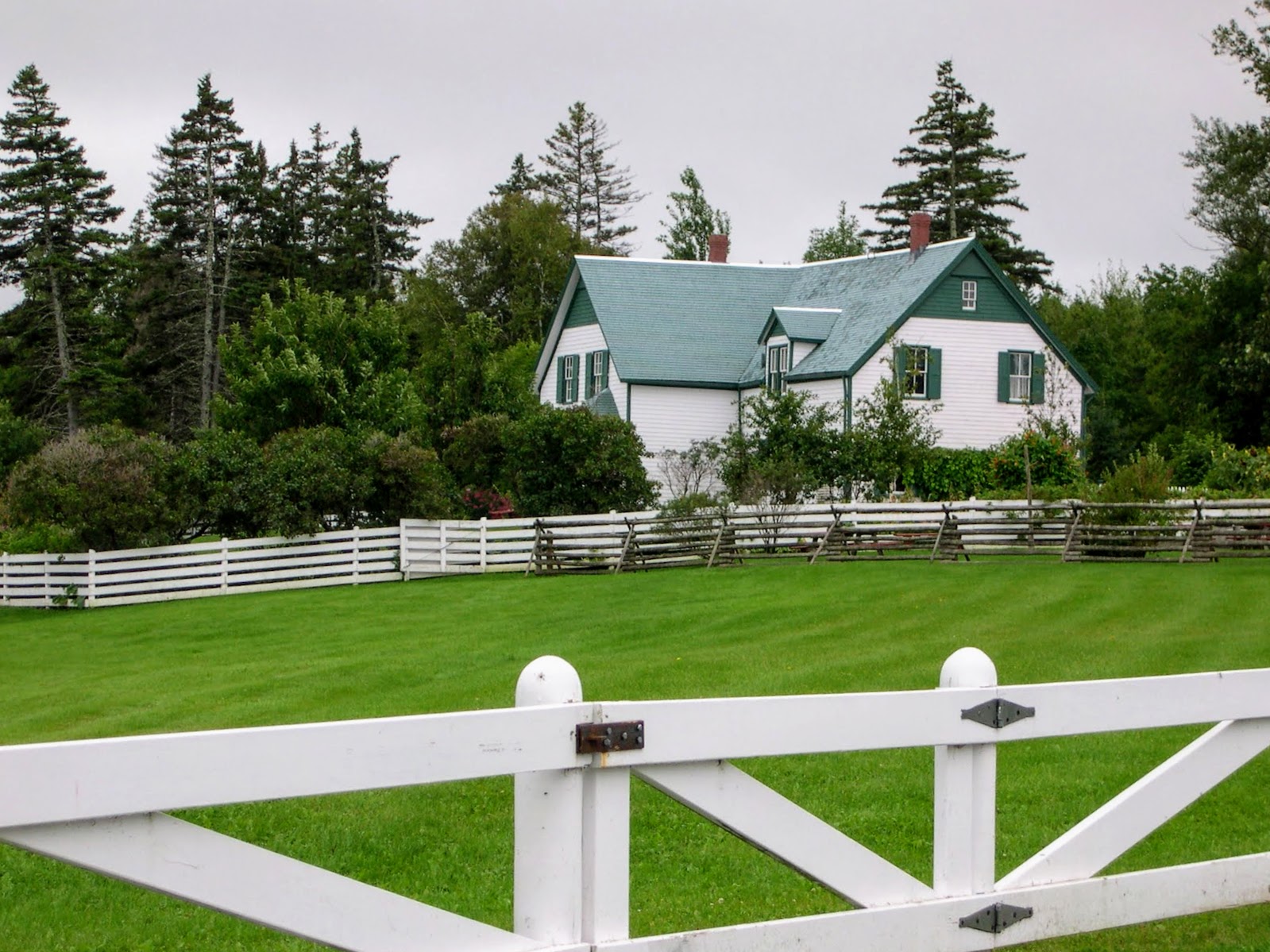 Kierunek Avonlea Trzecia wizyta