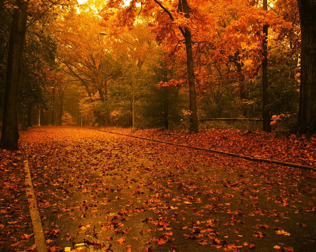 Autumn HD Wallpapers - HD Wallpapers