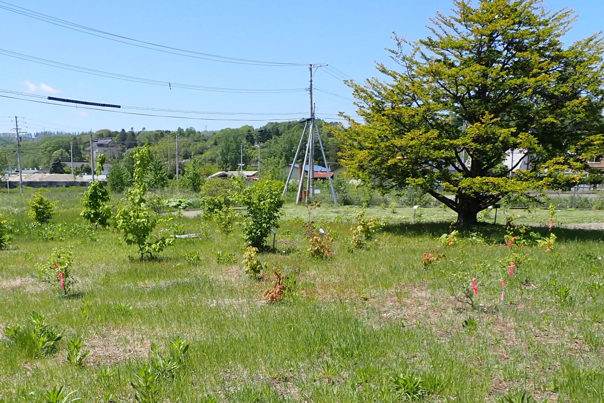 なぜいつも疲れを感じますか?