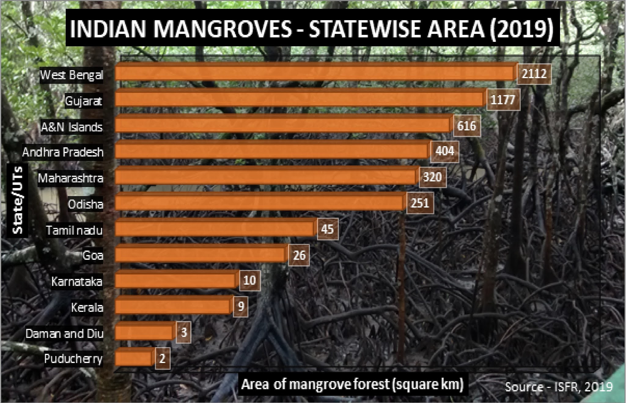 Earth Diary Mangroves of India