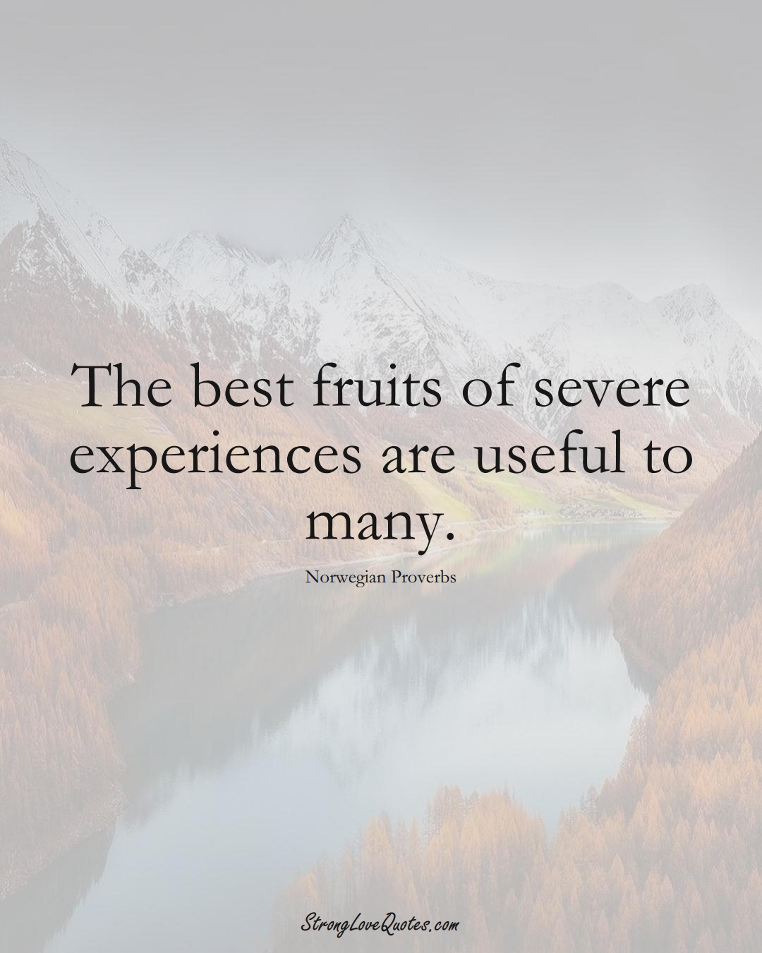 The best fruits of severe experiences are useful to many. (Norwegian Sayings);  #EuropeanSayings