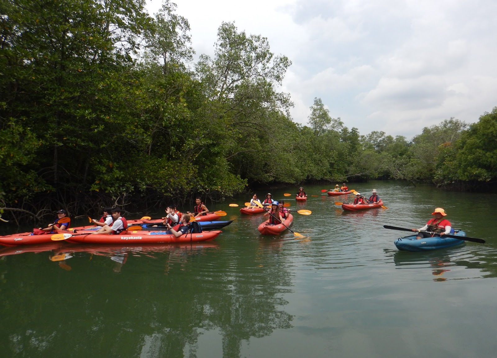 Pesta Ubin 2018 16 Jun (Sat) Guided Mangrove Kayaking Paddle at