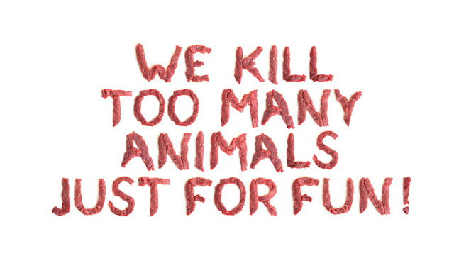 we kill too many amimals spelled out in meat