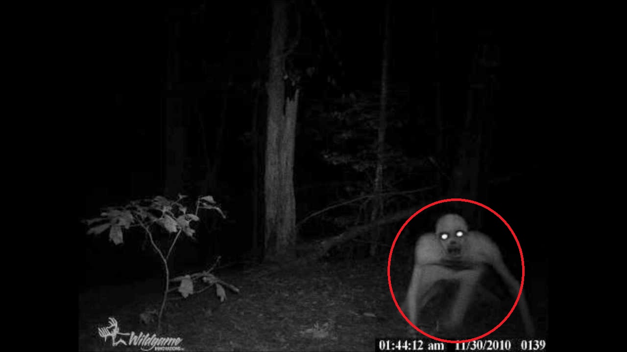 rake creature rake creature