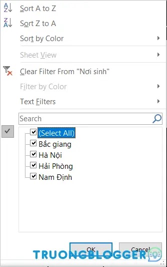 Cách lọc dữ liệu Excel đơn giản bằng công cụ Filter