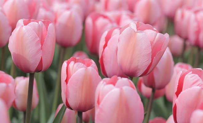 bilgi sitesi binlercebilgi com