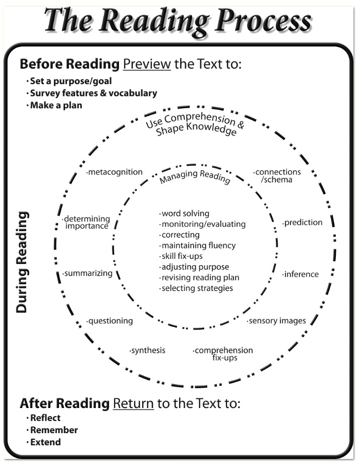 [DIAGRAM] Diagram Of Reading Process - MYDIAGRAM.ONLINE