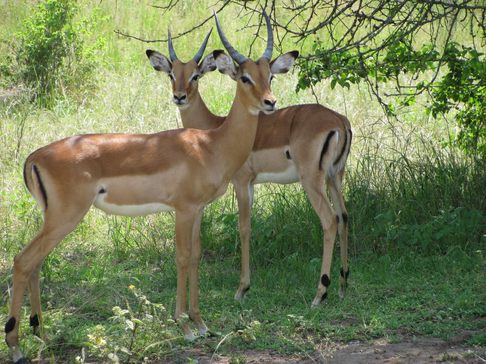 Dio Mass College Pilgrims: Starting the New Year With a Warthog