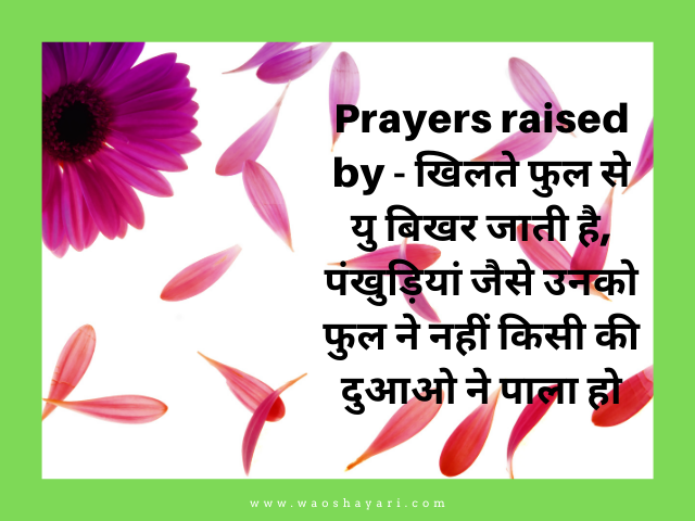 good morning flowers images for whatsapp status amazing good morning status