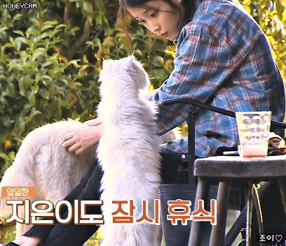 효리네민박 3화 아이유(섹시가수 이지은).gif | 인스티즈