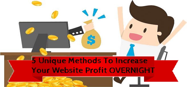 5 Unique Methods To Increase Your Website Profit OVERNIGHT website revenue generation