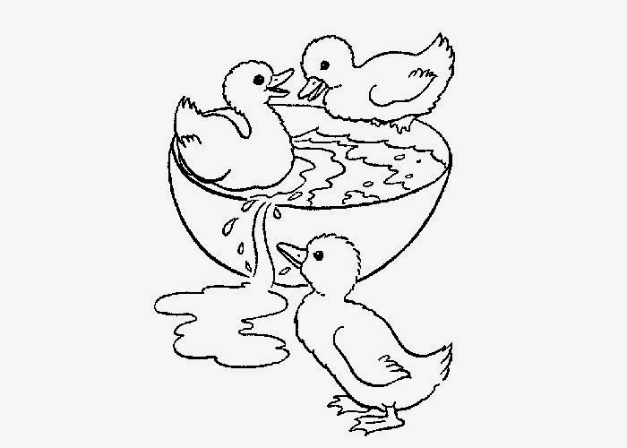 baby duck coloring pages - photo #26