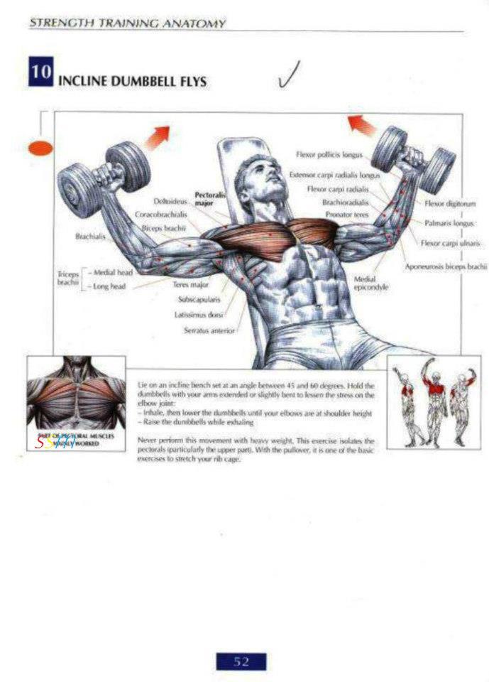 Health and Fitness Programs: Chest Workout Routine for Mass