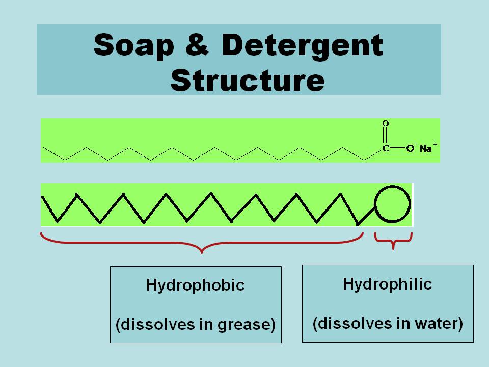 my chemistry Cleansing Action Of Soap and Detergent