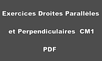 Exercices Droites Parallèles et Perpendiculaires à Imprimer CM1 PDF