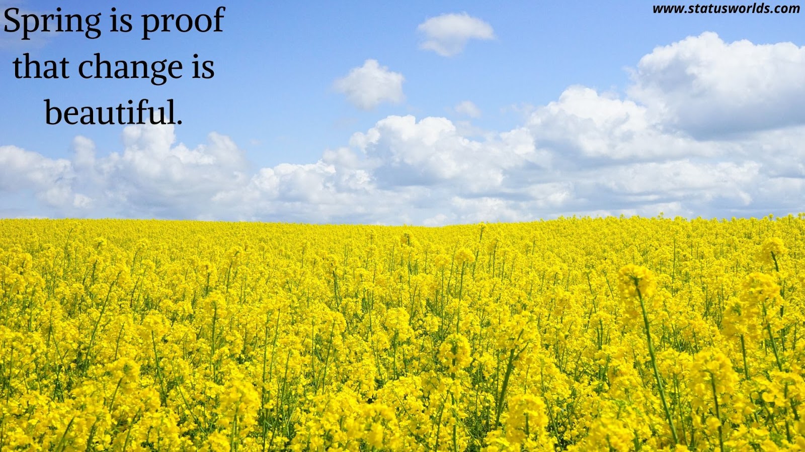 150+ [Top Class] Spring Status, Captions & Quotes [ 2021 ] For A Spring