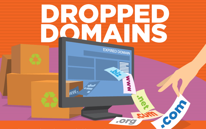 The Beginner’s Guide to Dropped Domains - #infographic