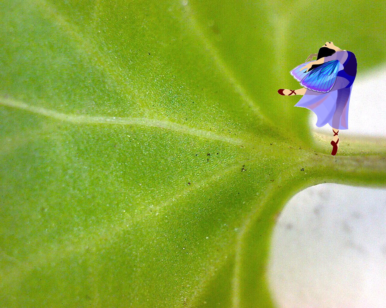 Aquarian Bath Free Herb Fairies Chickweed Activity Pack for Kids