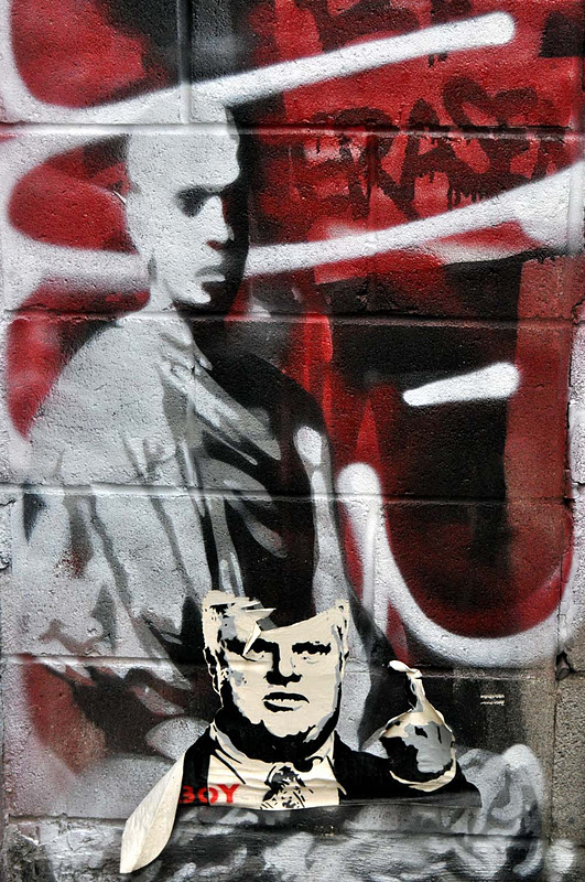 Green Olive Tours Israel Palestine Alternative Tours Culture