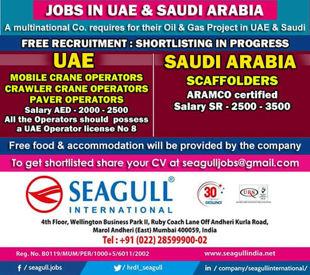 Gulf Job Paper 33